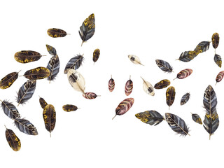 Obraz premium Adobe Illustrator Artwork