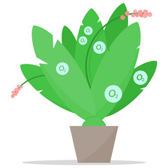 houseplants. potted plants. green plants and oxygen. room decoration. garden. yard. vector illustration