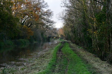 Autumn in River Barrow, Bagenalstown (Muine Bheag), County Carlow, Ireland
