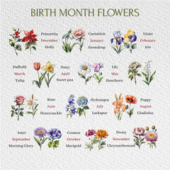 birth month flower, flower set, flower of the month of the year, Poinsettia, Violet, Holly, Carnation, Iris, Tulip,  Snowdrop, Daffodil, Daisy, Honeysuckle, Hydrangea, Larkspur, Poppy, Gladiolus