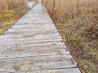 wooden platform, old pier, river, reeds