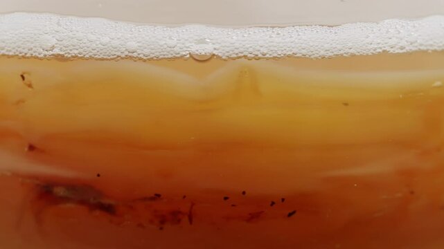 Kombucha tea, scoby fungus homemade Kombucha fermented drink, bacteria and yeast, fermentation, probiotic, Scoby, mushroom pro biotic, healthy fermented tea