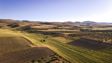 Aerial view of wheat fields, apricot, and cherry orchards. A stunning landscape of agricultural land captured by a drone.