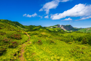 On the way form Alpe Portla to Alpe Gävis in the Mellental, Region of Bregenzerwald Valley, State of Vorarlberg, Austria