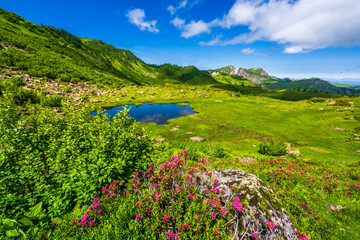 Small Lake on the way form Alpe Portla to Alpe Gävis in the Mellental, Region of Bregenzerwald Valley, State of Vorarlberg, Austria