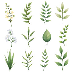 Fototapeta premium The image shows collections of plants. They are made in the same style, differ in simple lines and monochrome colors. The color palette includes shades of green with a yellowish-green base.