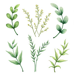 The image shows collections of plants. They are made in the same style, differ in simple lines and monochrome colors. The color palette includes shades of green with a yellowish-green base.