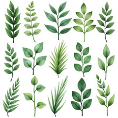The image shows collections of plants. They are made in the same style, differ in simple lines and monochrome colors. The color palette includes shades of green with a yellowish-green base.
