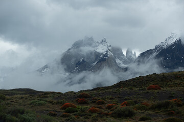 Patagonia