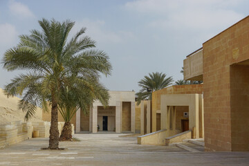 Saqqara, Eqypt: Palm trees line the path to the modern entrance of the Imhotep Museum, opened in 2006.