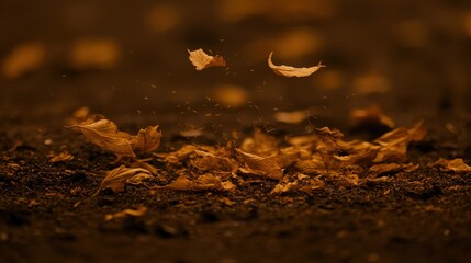 Floating autumn leaves on a textured ground.