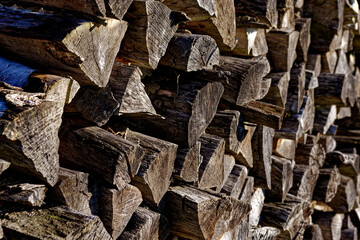 cold winter sunny morning in Bovaria