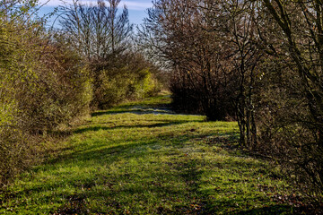 cold winter sunny morning in Bovaria