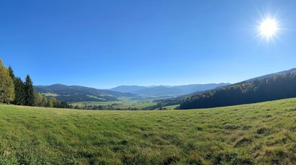 Obraz premium Scenic panoramic view of a lush green valley.