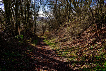 cold winter sunny morning in Bovaria