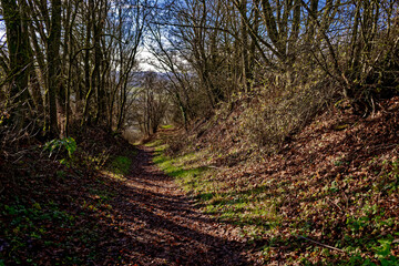 cold winter sunny morning in Bovaria