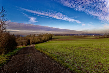 cold winter sunny morning in Bovaria