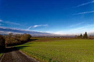 Obraz premium cold winter sunny morning in Bovaria