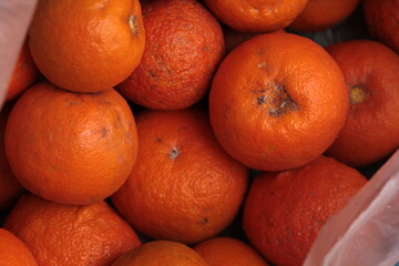 Citrus fruit. Bitter orange (Turun&ccedil;). Aurantium citrus fruits top view
