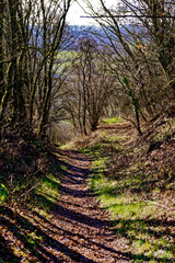 cold winter sunny morning in Bovaria