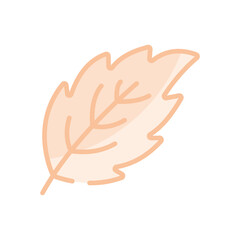 Mint Leaf vector icon