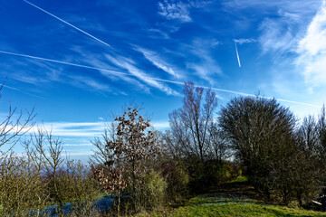 cold winter sunny morning in Bovaria