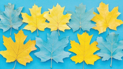 Obraz premium Colorful autumn leaves arranged on a blue background.