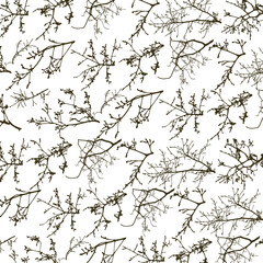 Seamless pattern with tree branches silhouette. Napkin, napkin with original design. (Vector illustration).