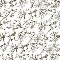 Seamless pattern with tree branches silhouette. Napkin, napkin with original design. 
