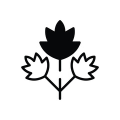 Obraz premium Parsley vector icon