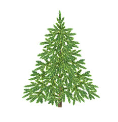 Lush evergreen tree stands tall with its vibrant green foliage, symbolizing nature's beauty in a serene setting, ideal for outdoor environments and landscaping.