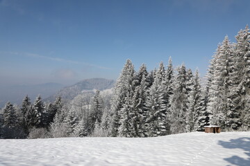 Fototapeta premium A winter landscape near Montreux, Switzerland