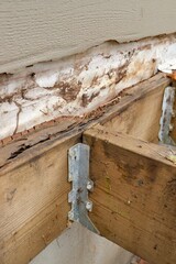 Deck Ledger Board Incorrectly Installed over Wood Siding has led to Extensive Dry Rot and Damage