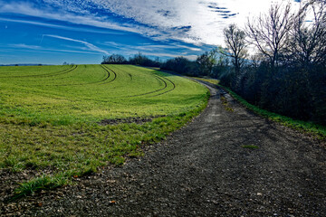 cold winter sunny morning in Bovaria