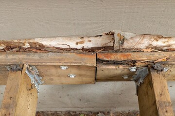Deck Ledger Board Incorrectly Installed over Wood Siding has led to Extensive Dry Rot and Damage