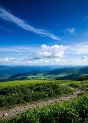 Obraz premium Nature landspace screensaver for mobile display,phone.