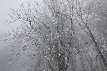 A winter landscape in Haut de Caux near Montreux, Switzerland