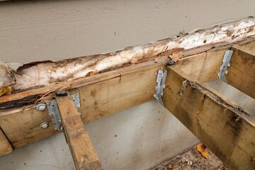 Deck Ledger Board Incorrectly Installed over Wood Siding has led to Extensive Dry Rot and Damage