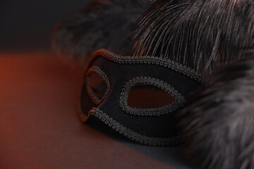 Beautiful carnival mask and feathers on black background in color lights, closeup. Space for text