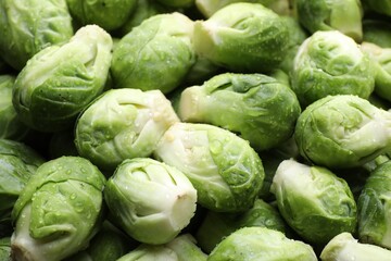 Many fresh Brussels sprouts as background, closeup