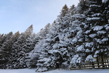 Snow landscape located in Pl&eacute;iades, near Vevey, Switzerland