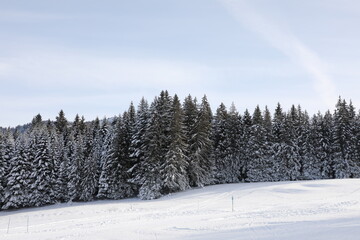 Snow landscape located in Pléiades, near Vevey, Switzerland