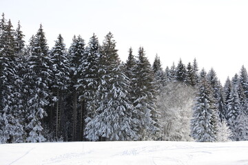 Snow landscape located in Pléiades, near Vevey, Switzerland