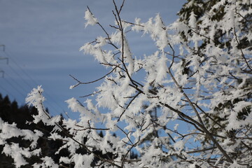 Snow landscape located in Pléiades, near Vevey, Switzerland