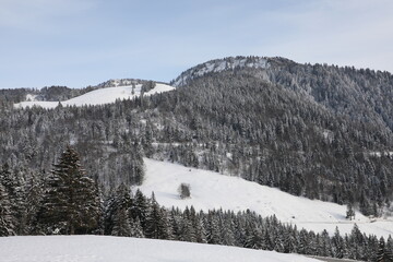 Snow landscape located in Pléiades, near Vevey, Switzerland