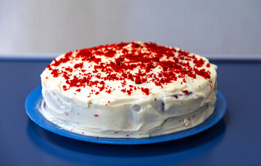 Traditional and delicious red velvet cake isolated on blue plate