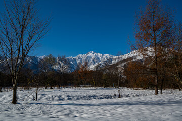 晴天の空と雪の北アルプス　長野県白馬村