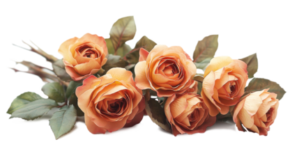 A charming arrangement of six orange roses with lush green leaves is displayed.