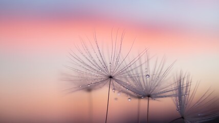 Delicate dandelion seeds against a soft pastel sunset sky, capturing nature's fleeting beauty.