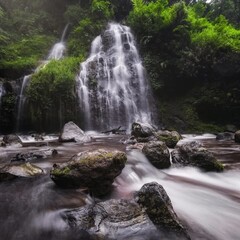 Obraz premium waterfall in the forest